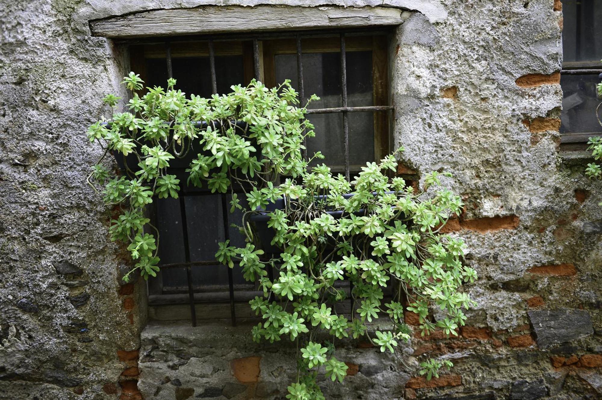 A Casa Di Sole Brovello Apartment Exterior photo